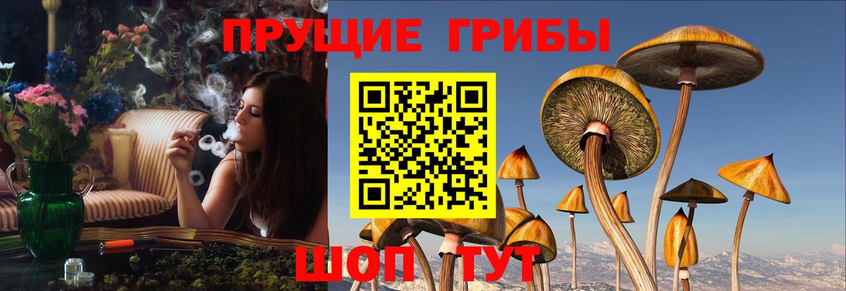 Галлюциногенные грибы MAGIC MUSHROOMS  Псилоцибиновые грибы мухоморы  Гусь-Хрустальный  Вход с VPN 